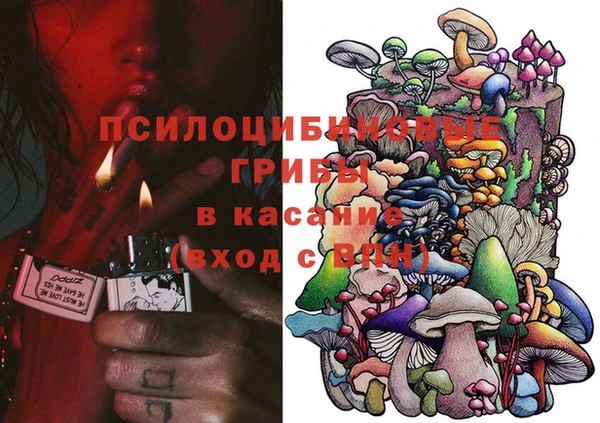 ECSTASY Белокуриха